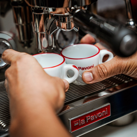 Ekspres do kawy La Pavoni Specialty Botticelli (LPSBSS03EU)