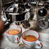 Ekspres do kawy La Pavoni Specialty Botticelli (LPSBSS03EU)